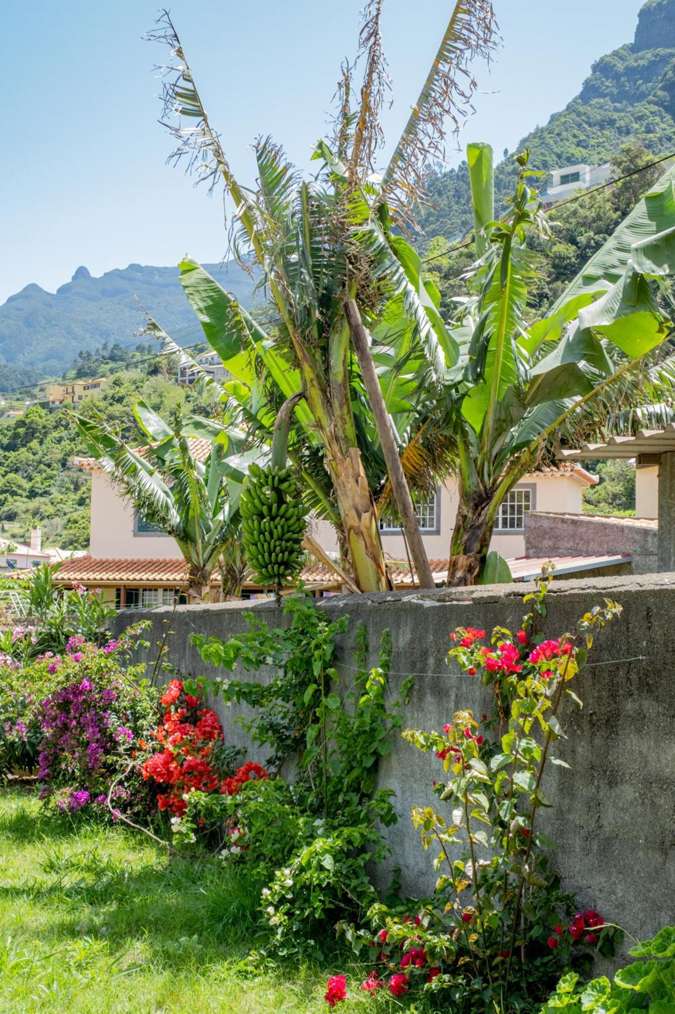 Sao Vicente Guest House Екстер'єр фото