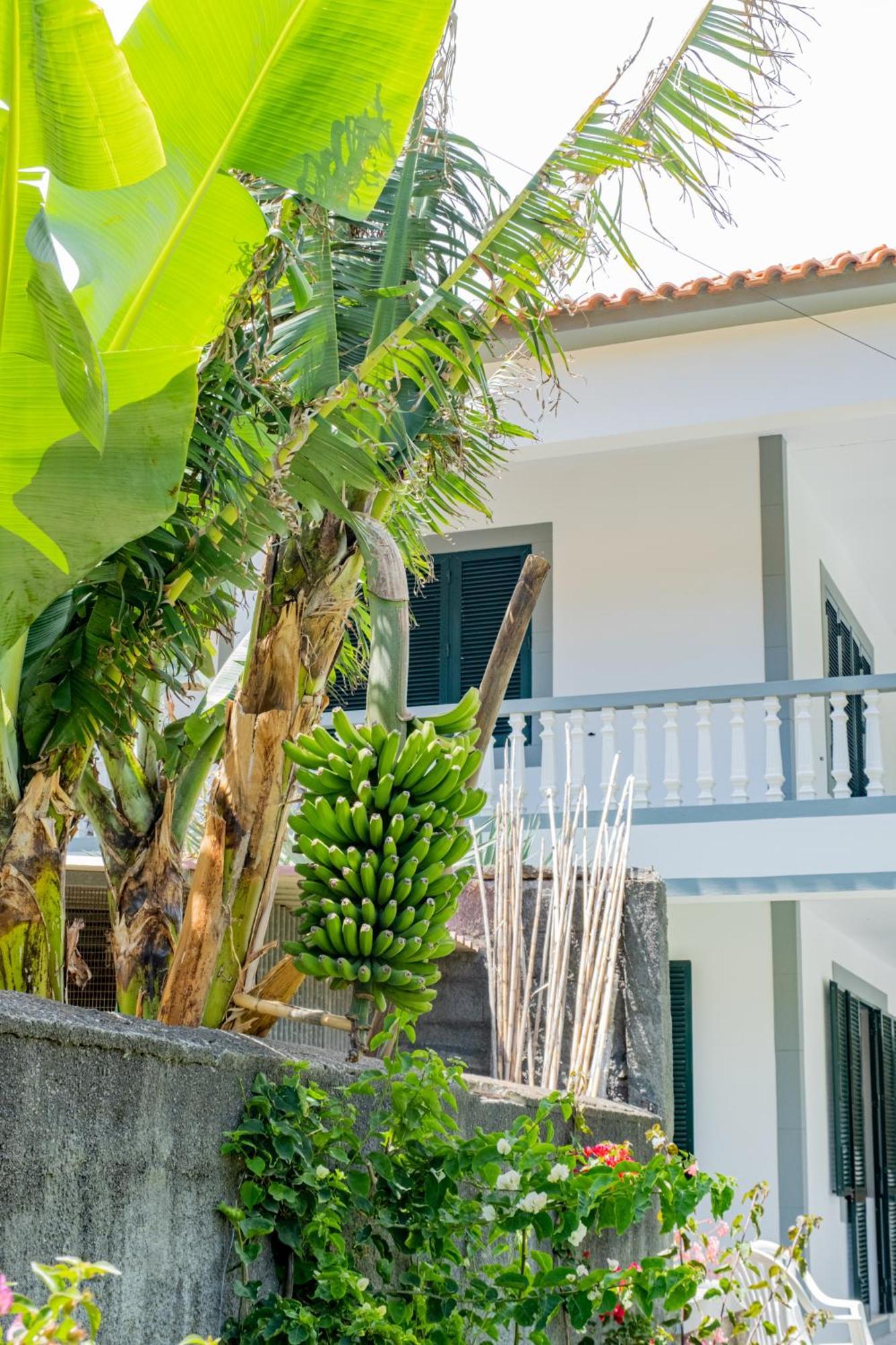 Sao Vicente Guest House Екстер'єр фото